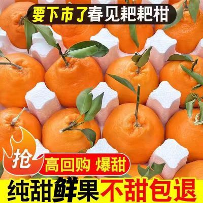 四川正宗春见耙耙柑不知火丑橘桔子沃柑新鲜水果媛果冻橙整箱批发