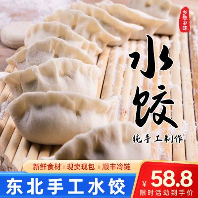 纯手工饺子东北水饺猪肉韭菜大葱速食饺子煎饺半成品冷冻传统商用