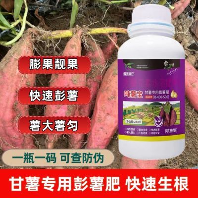 生根多薯宝吨薯宝甘薯生根促多结薯块红薯专用肥氨基酸喷施水溶肥