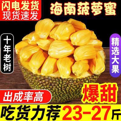 海南黄肉菠萝蜜一整个木波罗当应季新鲜现摘孕妇热带水果三亚特产