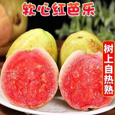 3斤广西红白心芭乐新鲜当季现摘水果番石榴红心鸡屎果整箱