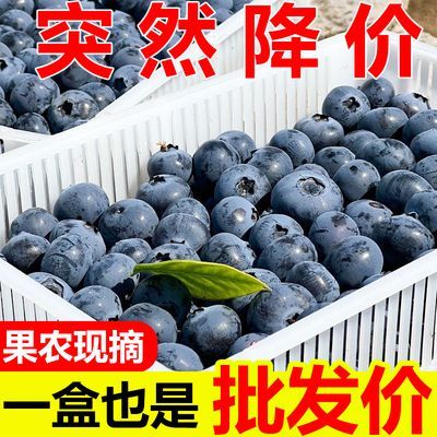 【蓝莓王】新鲜蓝莓大果当季孕妇宝宝辅食水果大蓝莓鲜果顺丰包邮