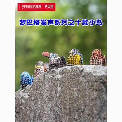 国家地理梦巴格立体博物文创拼插纸模为自然发声系列小鸟拼图