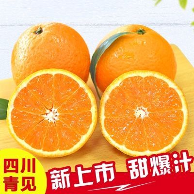 四川正宗高山青见果冻橙手剥橙应季水果柑橘产地直发果冻香甜口感