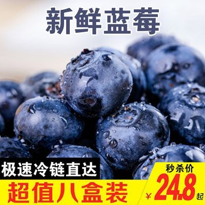 【超低价】蓝莓鲜果新鲜现摘大果孕妇宝宝辅食护眼蓝梅水果包邮
