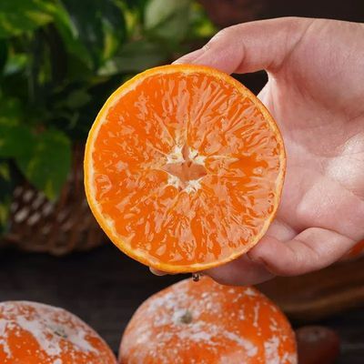 茂谷柑正宗新鲜水果脏脏柑橘新鲜时令水果特产应季桔子整箱包邮