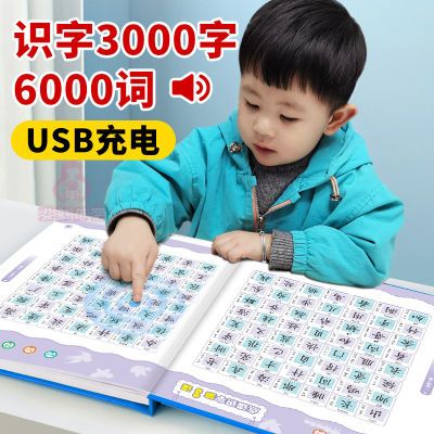 儿童玩具识字大王汉字认知识字1600字点读书幼小衔接汉字启蒙神器