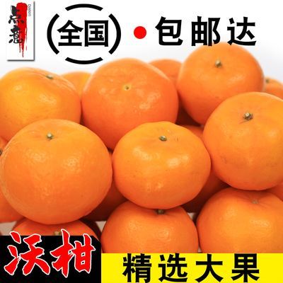 【首单特惠】云南高山沃柑水果应季新鲜橘子非武鸣桔子丑橘耙耙柑