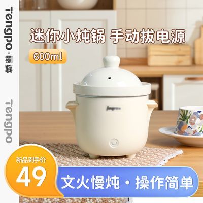 迷你小炖锅电炖盅家用陶瓷内胆小型煮粥砂锅炖一人食婴儿炖盅