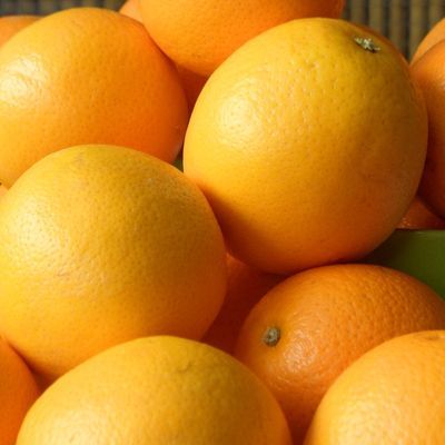 新鲜脐橙高山橙子正宗湖北秭归脐橙新鲜水果超甜应季水果整箱