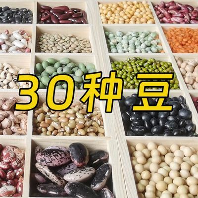 精选30种营养豆类豆菜豆粗粮豆子杂豆米饭蒸煮粥杂杂粮豆刀豆芸