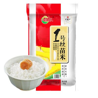 一江秋江西丝苗米10斤煲仔饭专用大米长粒香大米软糯香甜晚稻籼米