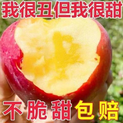 【丑苹果】新鲜水果脆甜糖心红富士丑苹果应季当季水果一整箱批发