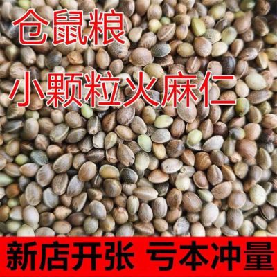 23年新货小颗粒火麻籽麻子火麻仁鹦鹉鸟粮鸽粮饲料仓鼠松鼠粮食