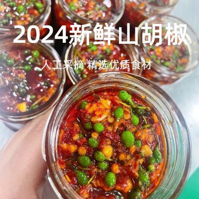 2024年农家自制新鲜野生山胡椒香辣下饭菜优选木姜子酱拌饭无