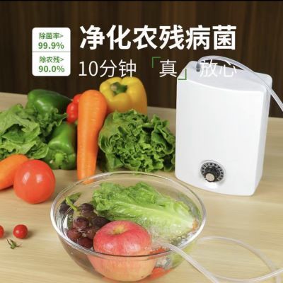 2000mg臭氧发生器 (新款)加定时器 洗菜消毒机果蔬解毒