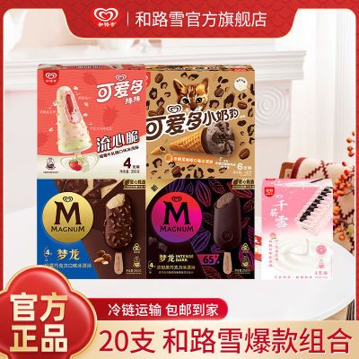 【20支包邮】和路雪梦龙雪糕混合多口味任选冰淇淋冷饮批整箱发
