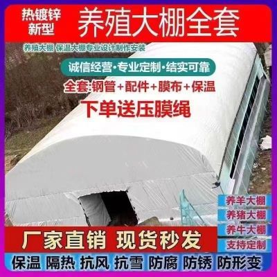 养殖大棚全套大棚骨架家用温室种植棚专业养鸡棚羊棚牛棚养猪大棚