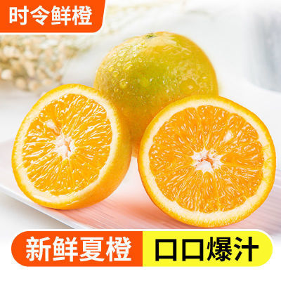 橙子当季新鲜脐橙橙子新鲜橙子秭归夏橙水果当季现摘橙子3/5/9斤