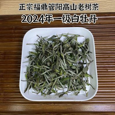 福鼎白茶2024年明前一级白牡丹管阳高山老树茶