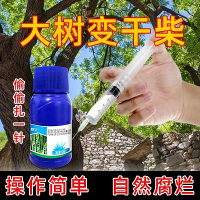 麒丁环嗪酮大树一针倒大树专用快速干枯烂根清理障碍树专用除草剂