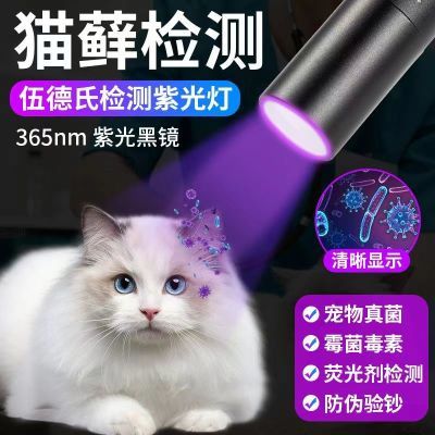 伍德氏灯照猫藓灯紫外线荧光剂紫光灯家用宠物生病真菌检测手电筒