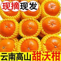 【彩箱】沃柑云南高山沃柑桔子当季新鲜水果净重5斤单果65mm起
