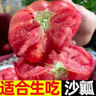 正宗露天沙瓤普罗旺斯西红柿生吃番茄新鲜蔬菜一整箱10斤批发包邮