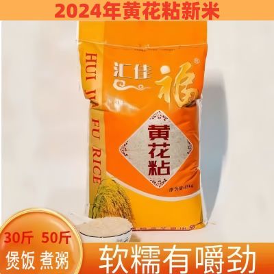 2024年黄花粘大米50斤正宗江西优质长粒香晚稻30斤新鲜米