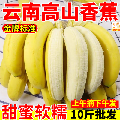 【首单7折】云南天然绿皮甜香蕉批发高山薄皮正宗甜香蕉新鲜水果