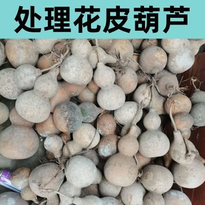 清仓处理带皮葫芦特大中号大葫芦装饰品绘画道具药材纯天然葫芦【15天内发货】