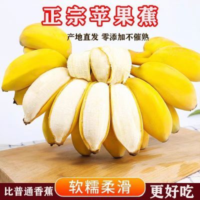 广西正宗苹果蕉当季新鲜水果薄皮粉蕉香蕉孕妇批发整箱包邮