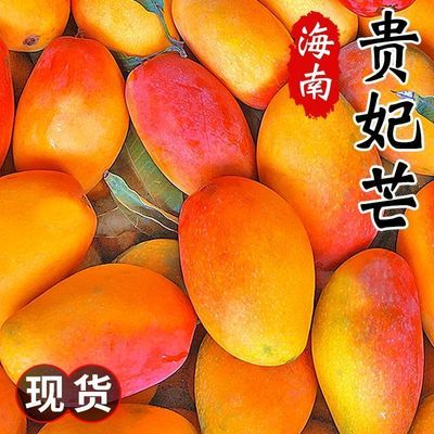 海南贵妃芒整箱装当季新鲜孕妇5斤红金龙批发中果芒果热带水果