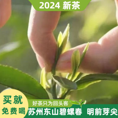 碧螺春芽尖正宗明前清香型高档手工炒制浓香型散装罐装袋装小包装