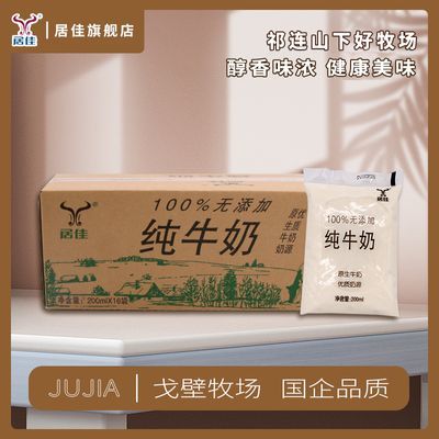 居佳纯牛奶透明袋 200ml*16袋 早餐袋装学生营养整箱批发厂家直销