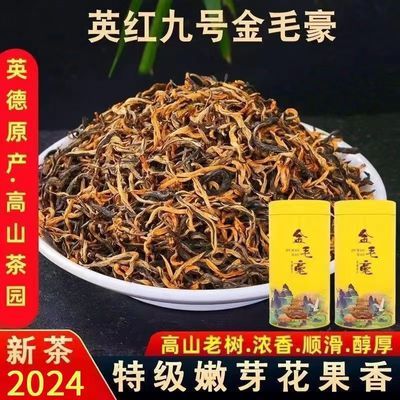 老树英德红茶英红九号2024特级新茶金毛豪浓香型高档礼罐装500g