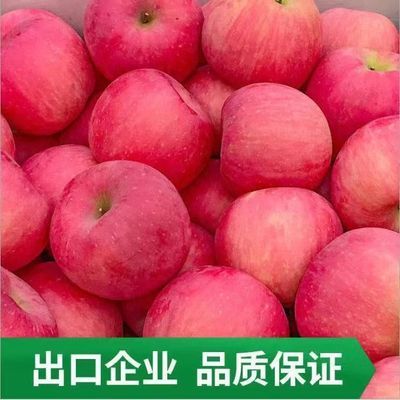 鲜丰水果水果码头陕西红富士脆甜苹果整箱水果礼盒大果