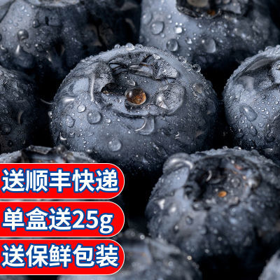 云南时令当季蓝莓25号花香国产新鲜脆甜孕妇蓝莓顺丰