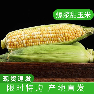 云南金银水果玉米新鲜玉米3/5斤甜玉米棒子包谷新鲜蔬菜非转基
