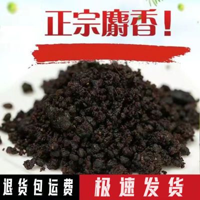 麝香正品真品西藏麝香养殖正宗纯钓鱼小药材麝香粉非合成当门子