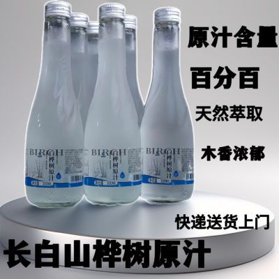 长白山白桦树原汁天然白桦树原液 一箱6瓶 原味玻瓶装 整箱无添加