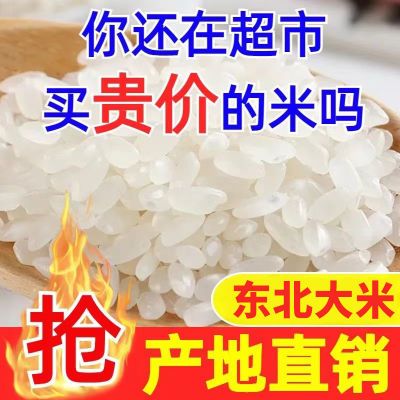 【新米】正宗五常稻花香米长粒香米5斤10斤20斤厂家直销大米批发