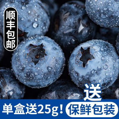 云南蓝莓12盒3斤当季新鲜蓝莓鲜果宝宝辅食