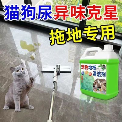 宠物地板杀菌除臭剂室内速干增亮去尿骚味分解异味臭味猫咪狗狗