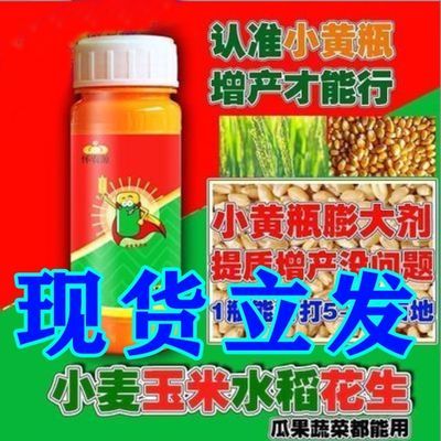 苄氨烷醇/水稻小麦玉米膨大/1瓶10亩/穗大粒多-灌浆饱满-千粒重高