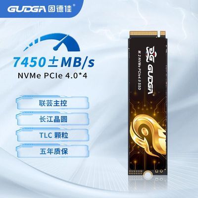 ̵¼GXF Pro M.2 NVMe PCIe4.0 1TB PS5̬ӲSSDTLC309Ԫ