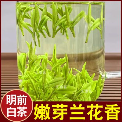 2024新茶【头采白茶】浓香型正品特级白茶珍稀白茶毛峰袋装罐装