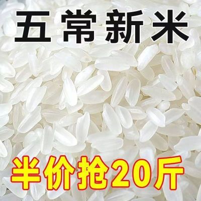 【新大米】五常稻花香米五常大米10斤20斤长粒香米厂家直销1斤