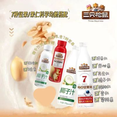 三只松鼠椰子汁/每日坚果乳300ml瓶装无菌冷灌植物蛋白饮料