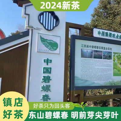 正宗碧螺春芽尖芽叶当年明前高档新茶手工炒制袋装散装包邮